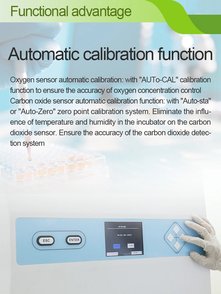 Heal Force Lab Cell Culture CO2 Incubator 150L Biology for Laboratory Equipment CO2 Incubator