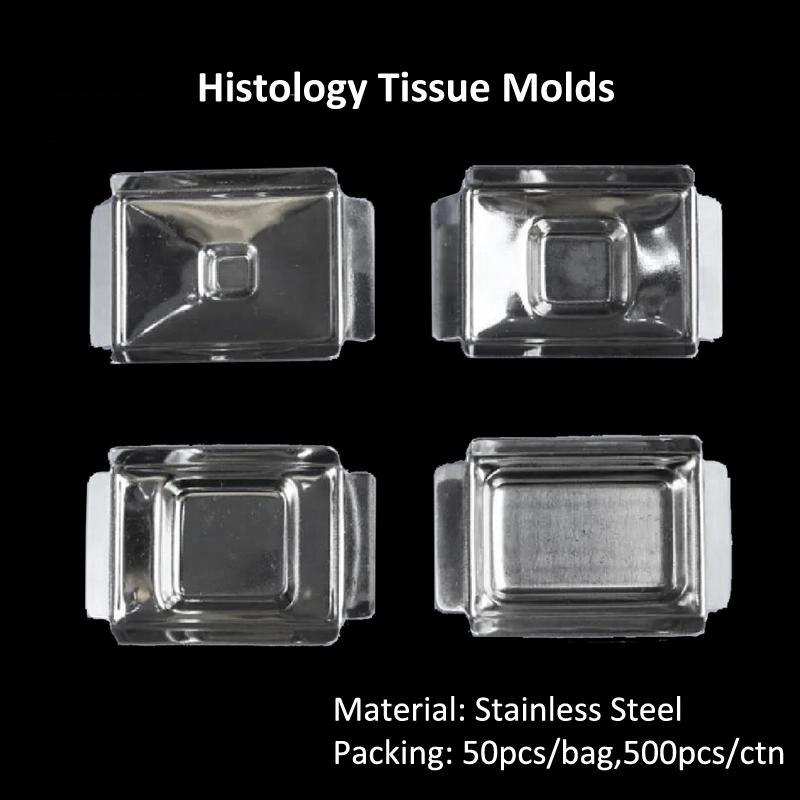 Stainless Steel Reusable Various Size Embedding Cassette Histology Tissue Mold