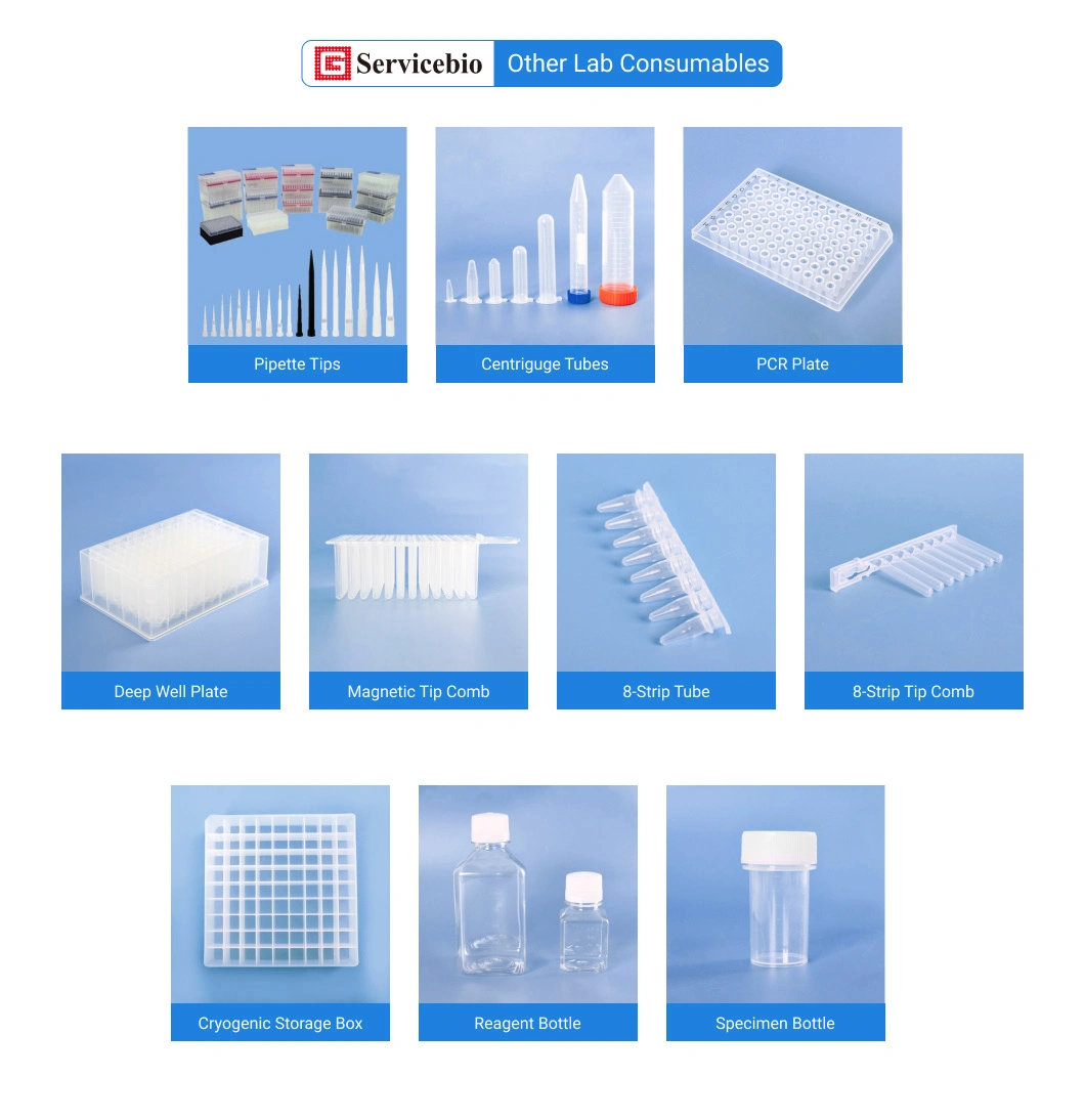 Pathological Detection Microscope Slides Storage